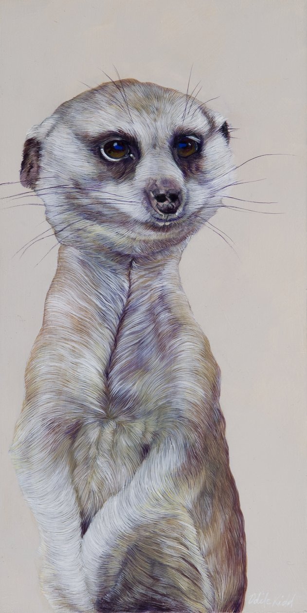  av Odile Kidd