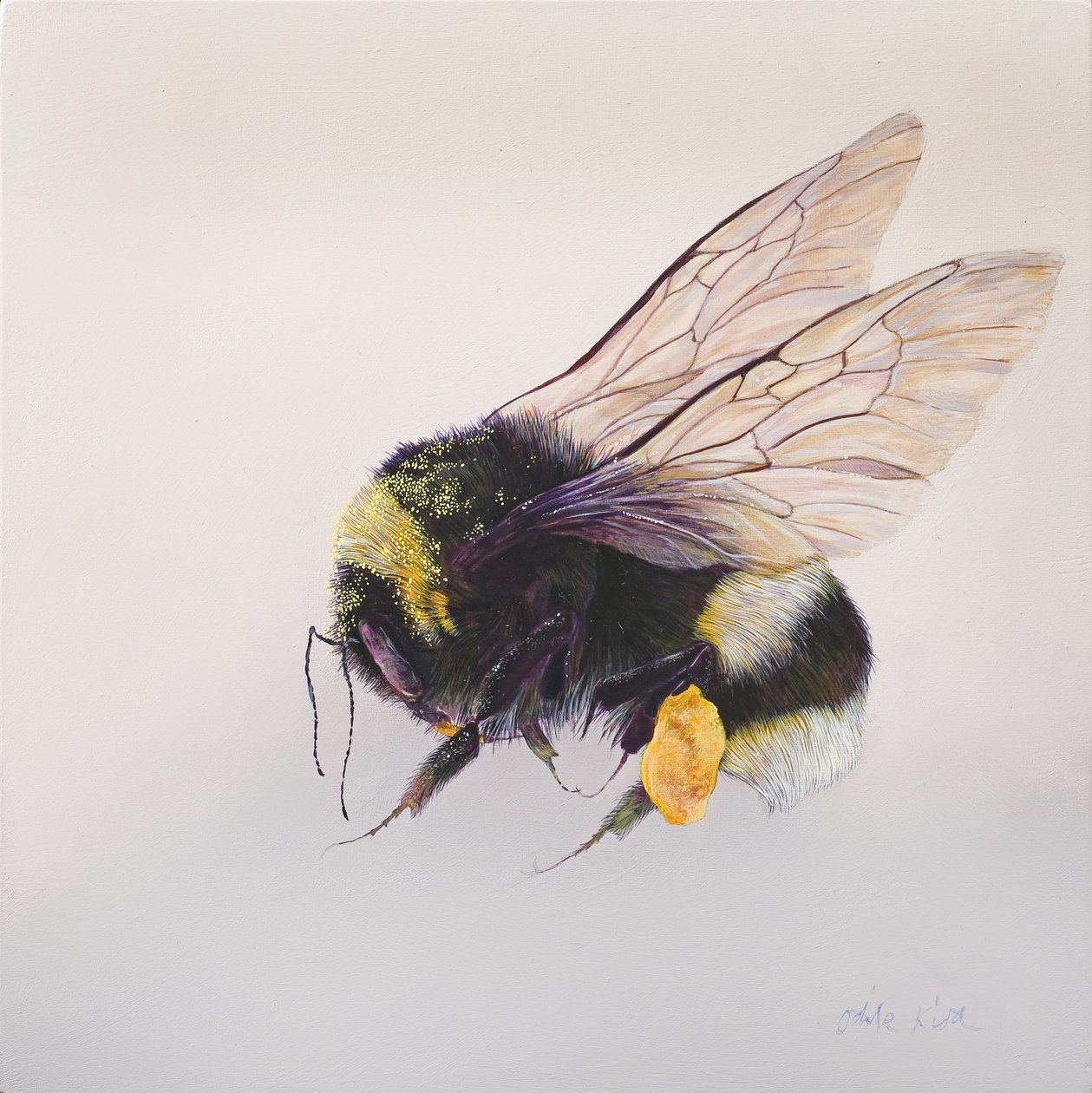  av Odile Kidd
