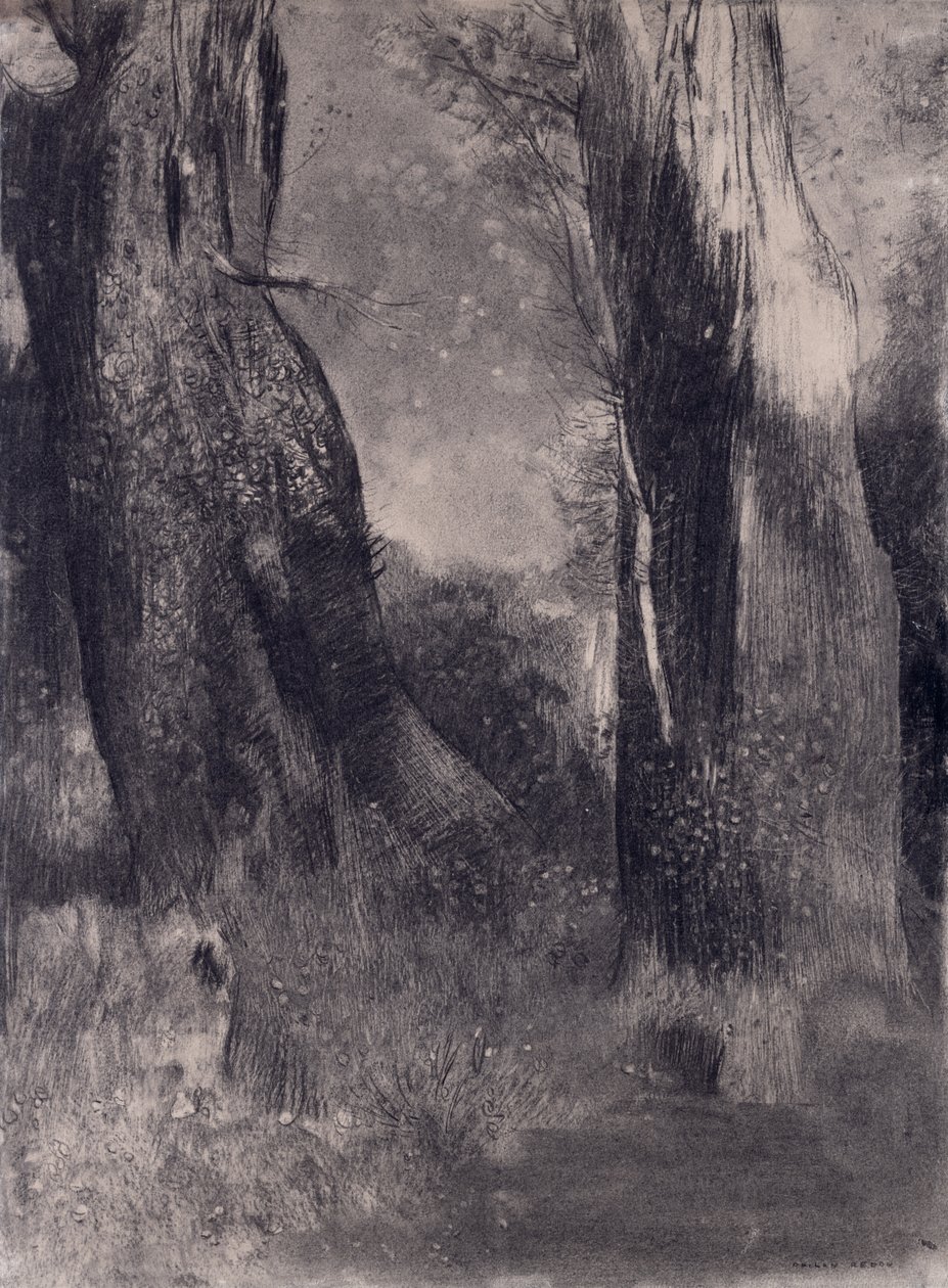 The Trees, 1890-tallet (kull på papir) av Odilon Redon