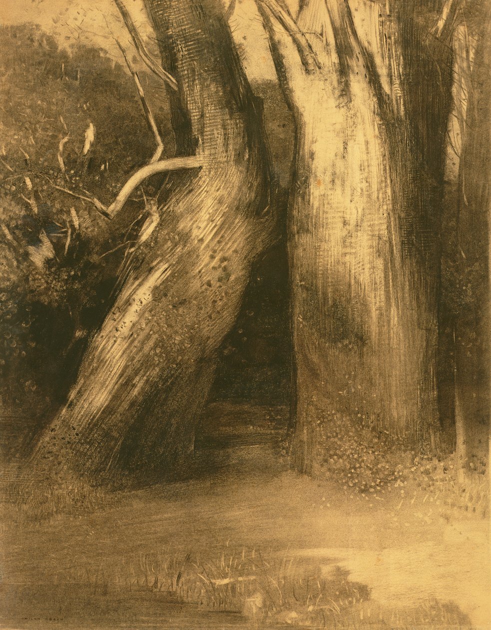 To trær, ca. 1875 (kull på papir) av Odilon Redon