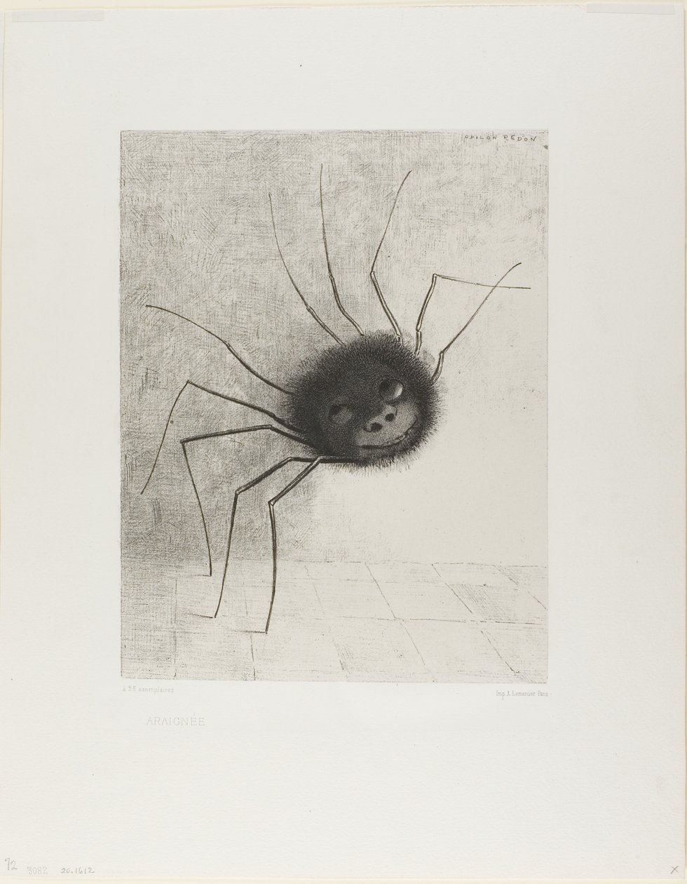 Edderkopp av Odilon Redon