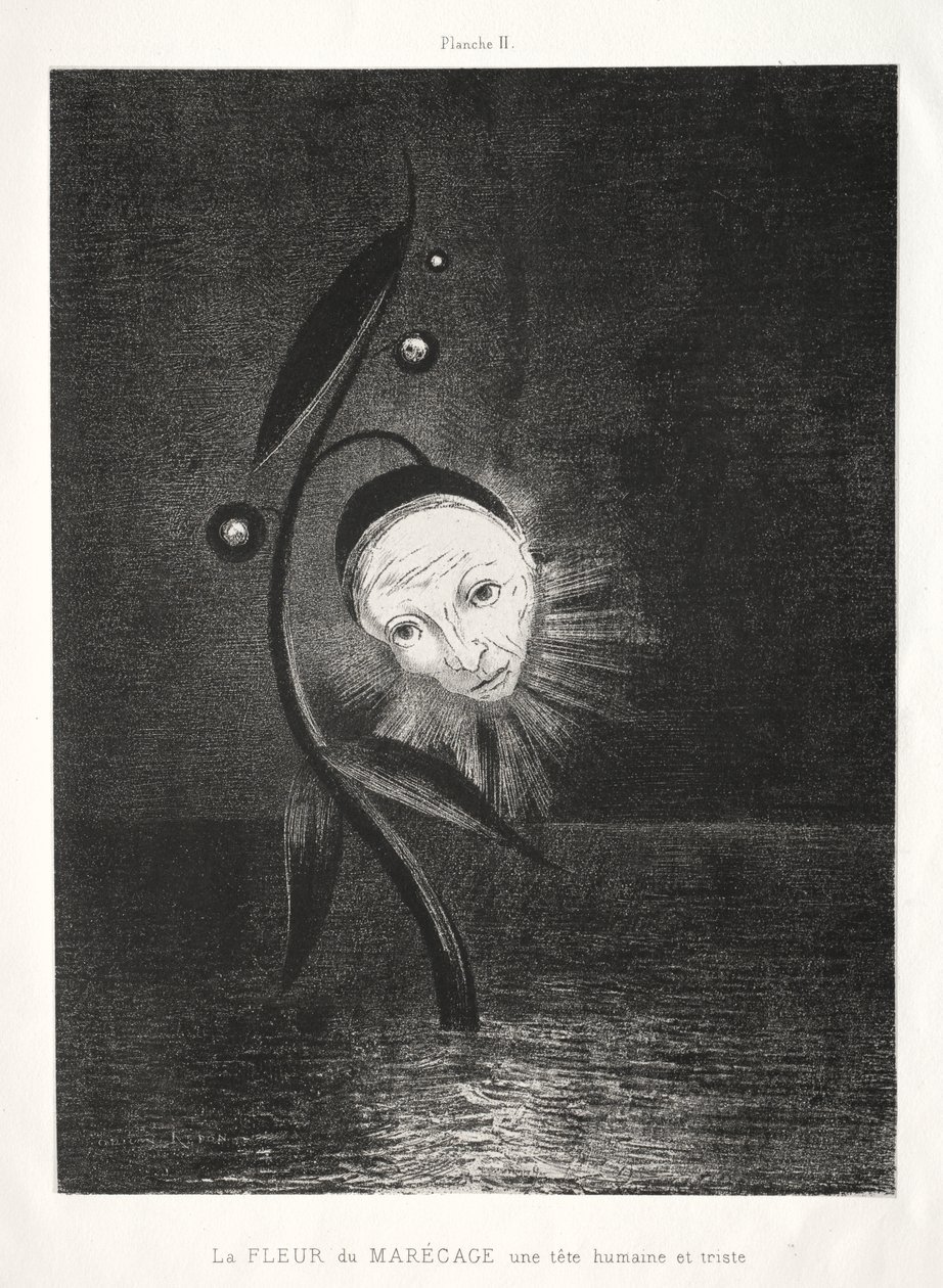 Myrblomsten, et trist menneskehode av Odilon Redon