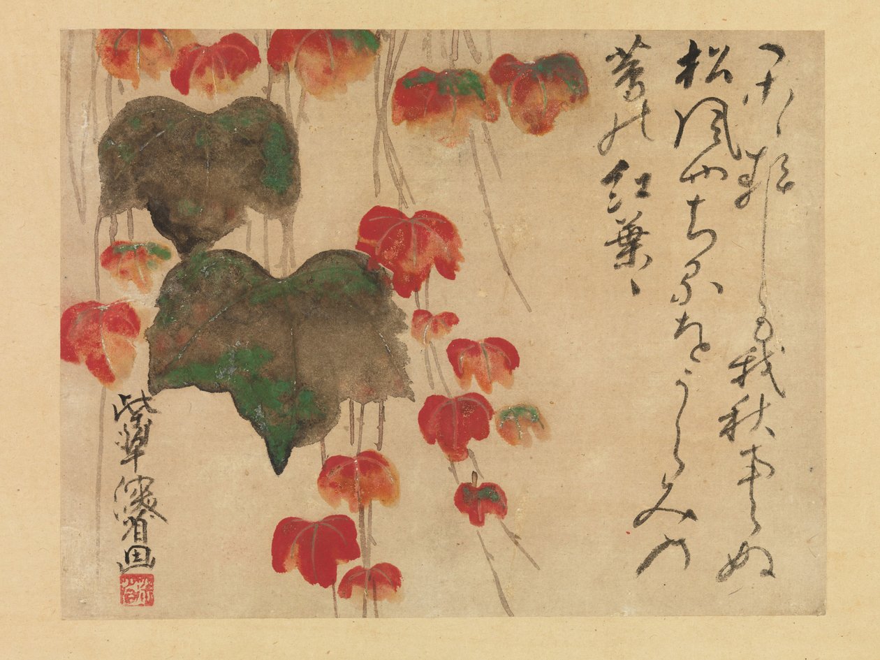 Autumn Ivy (blekk, farge og gull på papir) etter 1732 av Ogata Kenzan