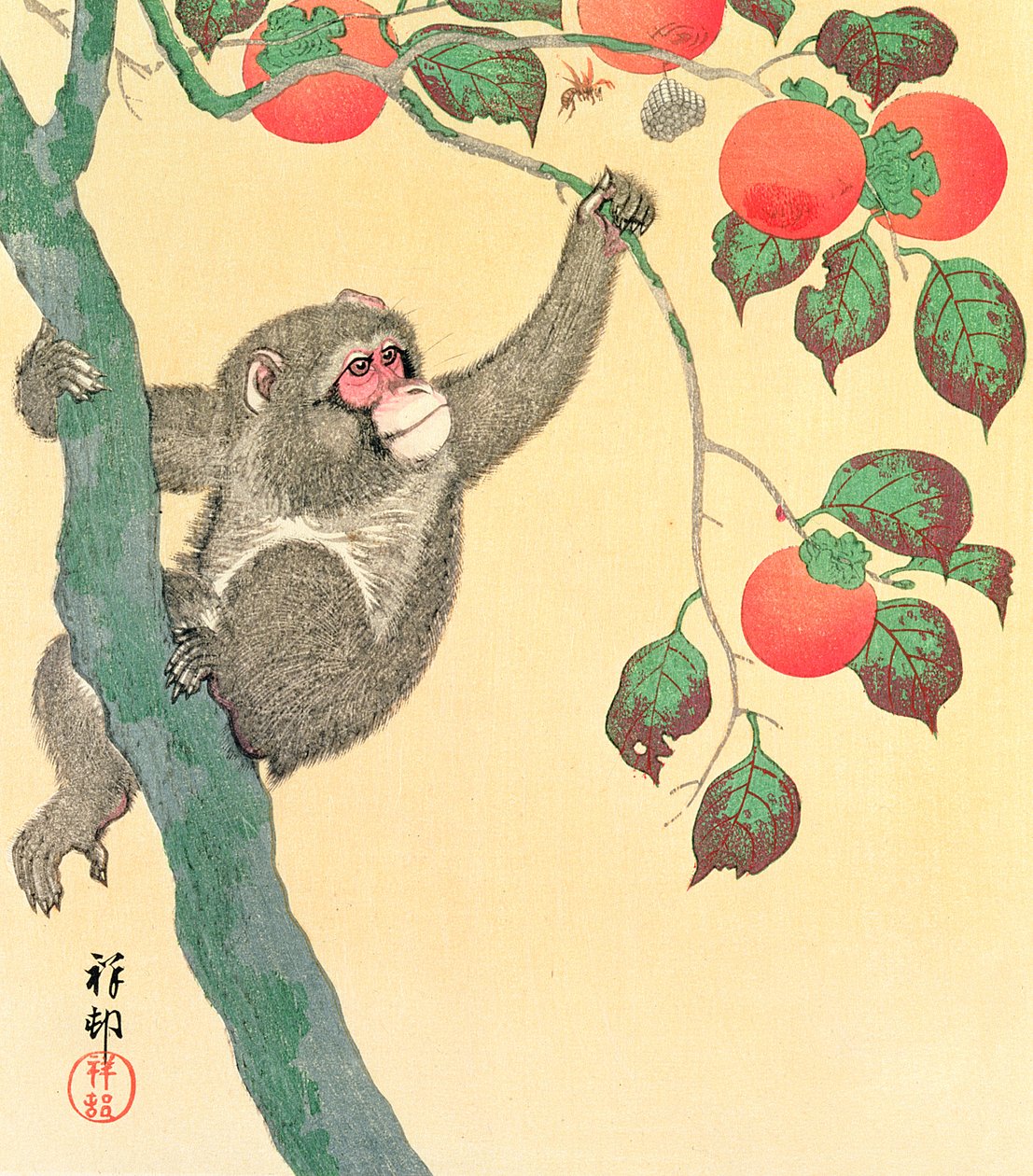 Monkey in a Persimmon Tree, 1935 (fargetrykk av treblokk) av Ohara Koson