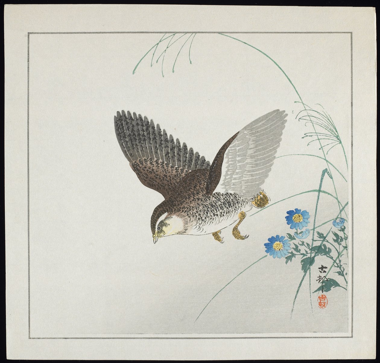 Vaktel på flukt, før 1912 av Ohara Koson