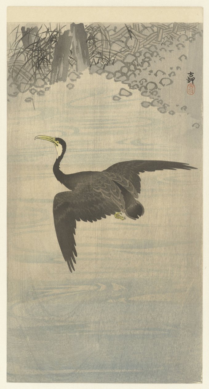 skarv på flukt av Ohara Koson
