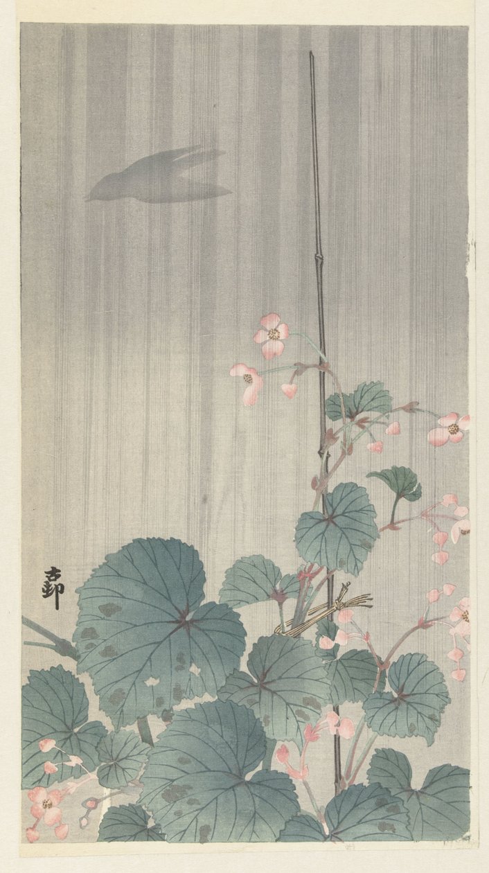 Begonia i regnet av Ohara Koson