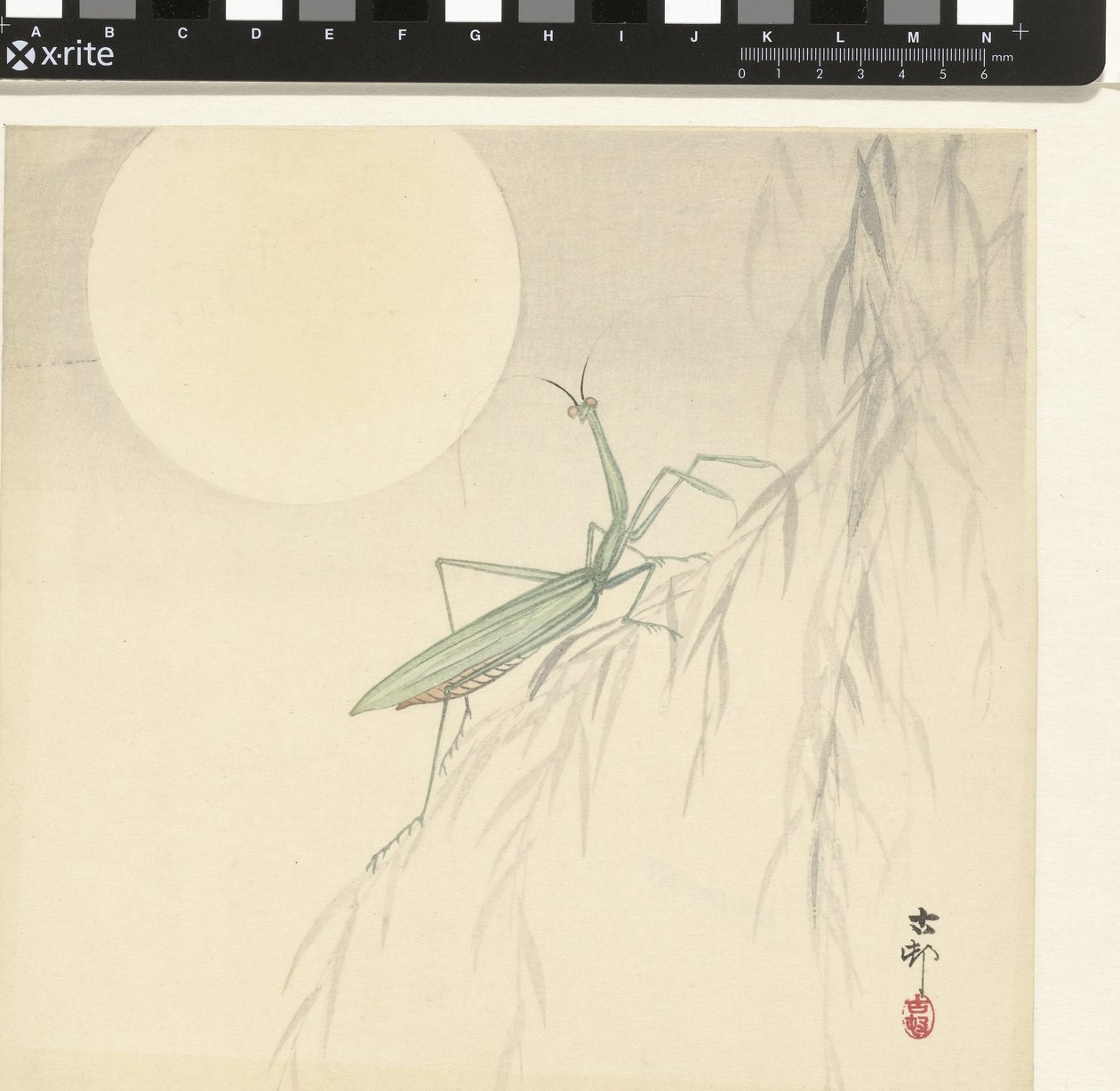 Praying mantis av Ohara Koson