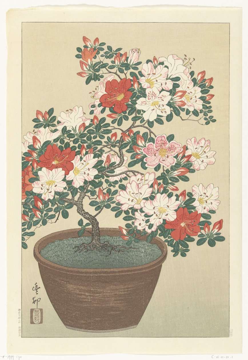 Blomstrende asalea i brun krukke av Ohara Koson