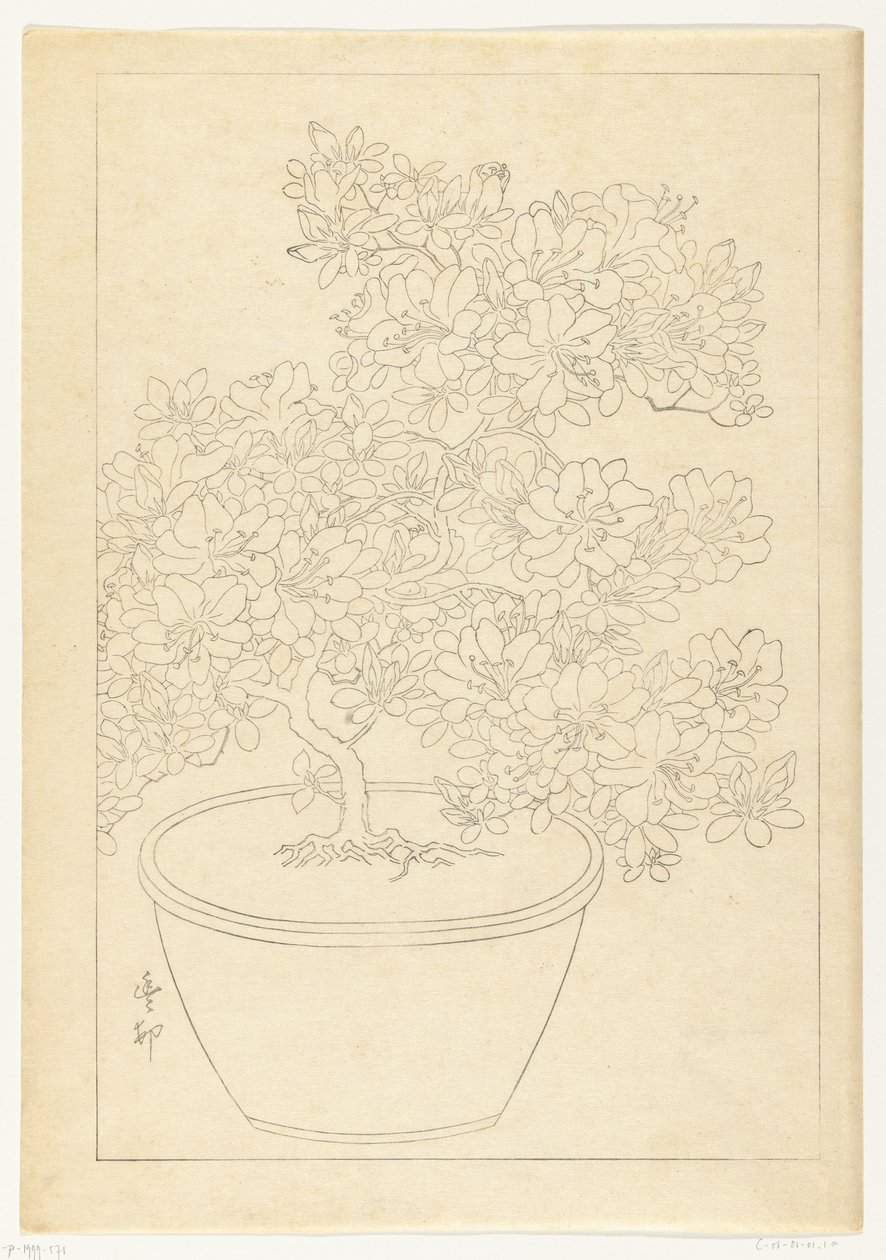 Blomstrende asalea i potte av Ohara Koson