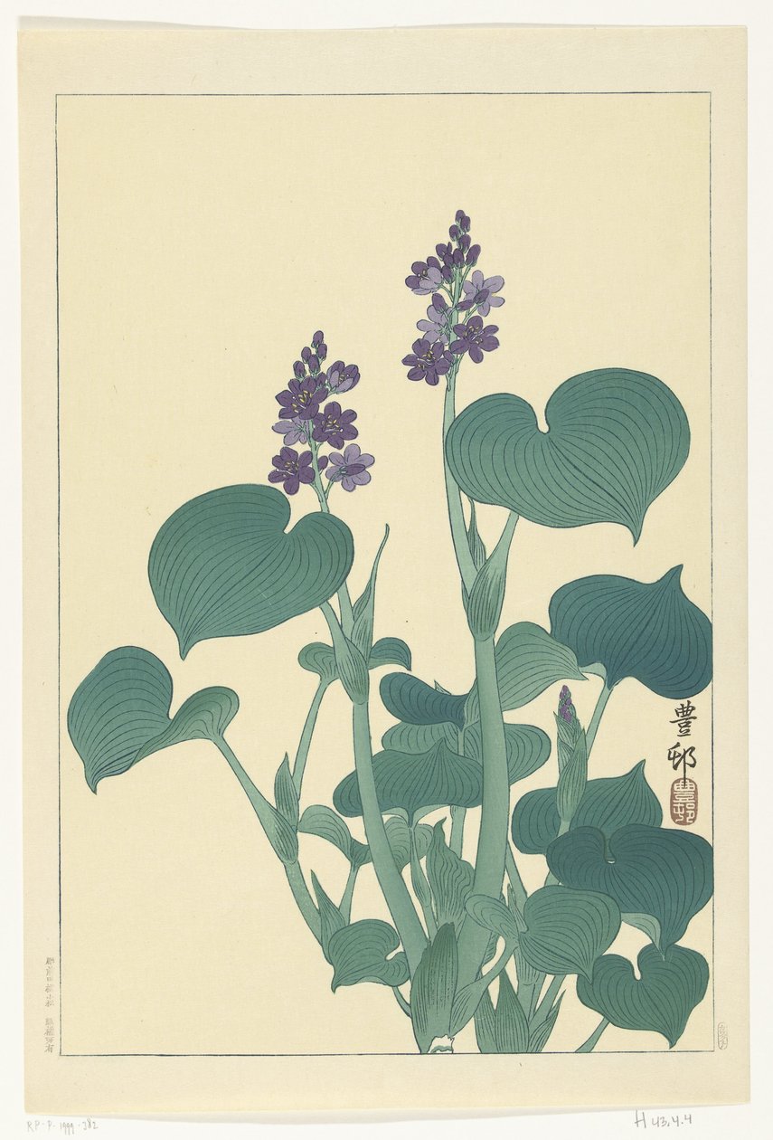 Blomstrende hosta av Ohara Koson