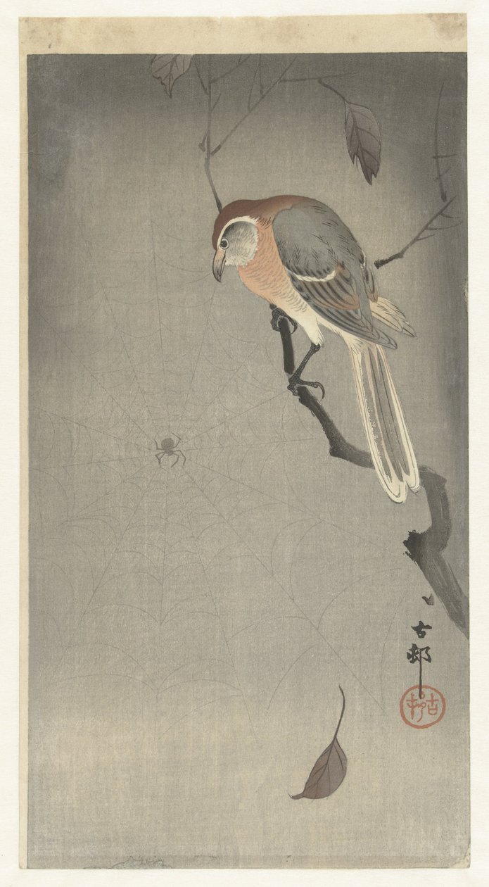 Bøffelhodeskrike og edderkopp av Ohara Koson