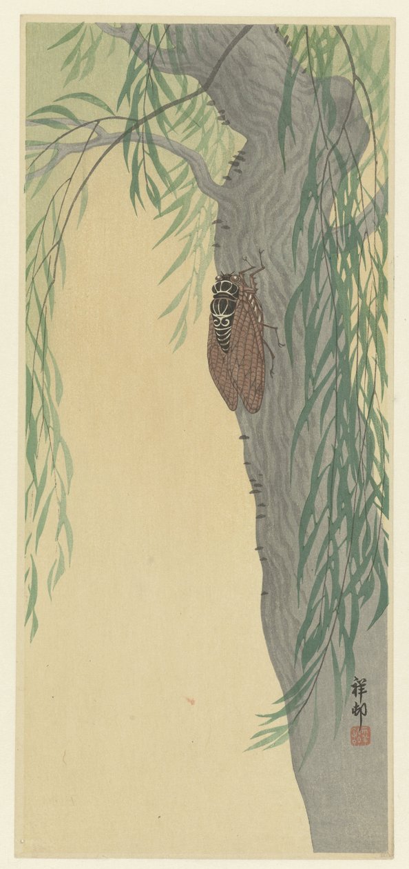 Cicada på treet av Ohara Koson