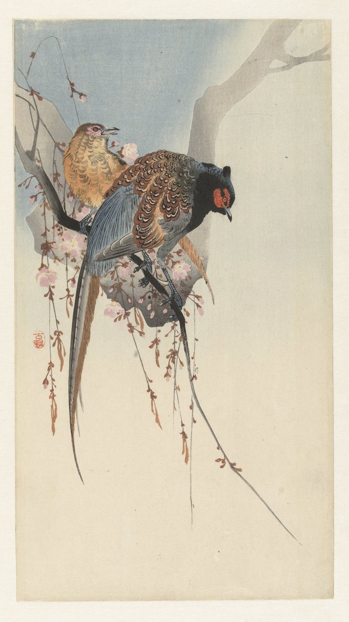Fasanpar og plommeblomstrer av Ohara Koson
