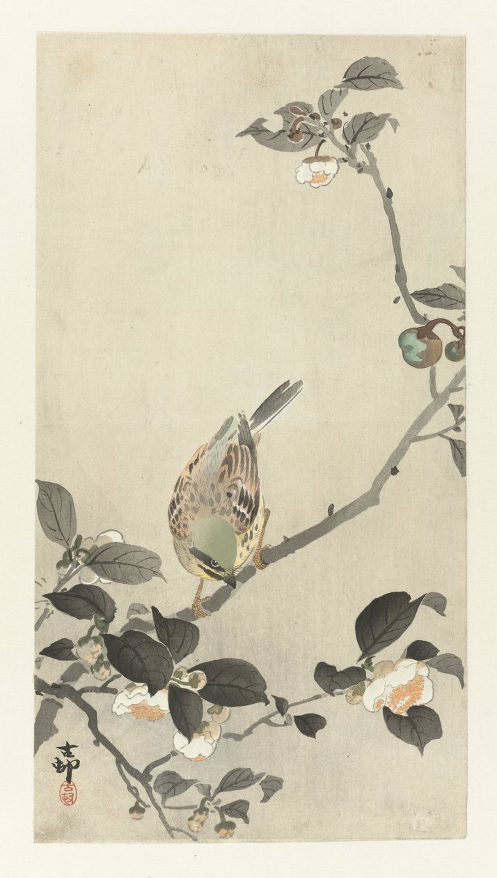 Bunting på blomstrende gren av Ohara Koson