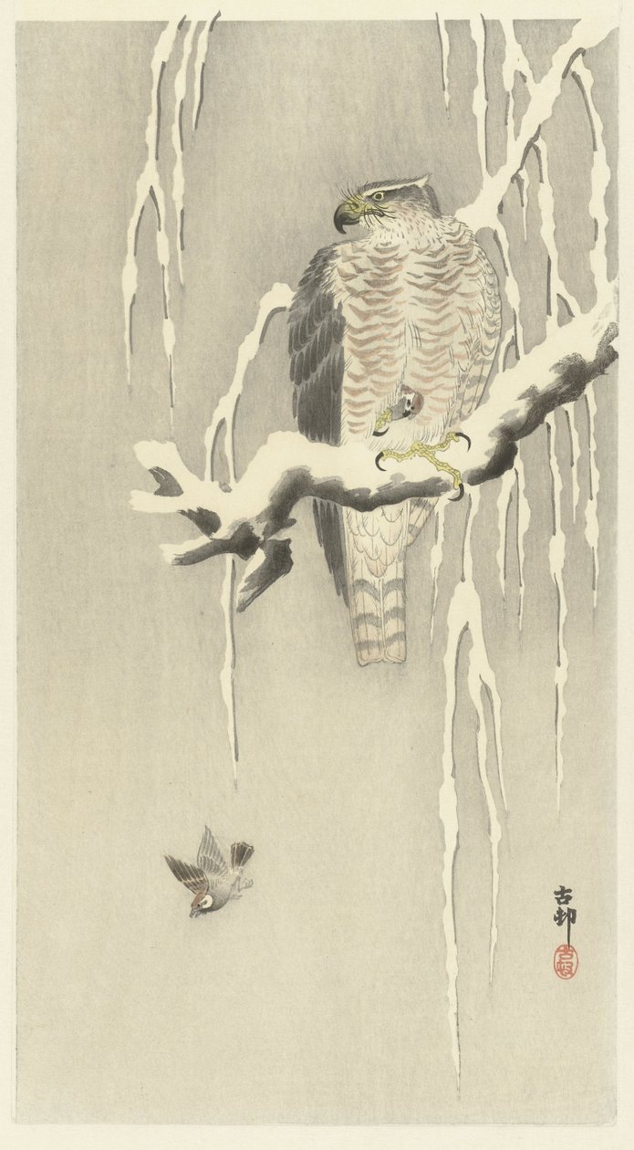 Hauk med fanget gressspurv. av Ohara Koson