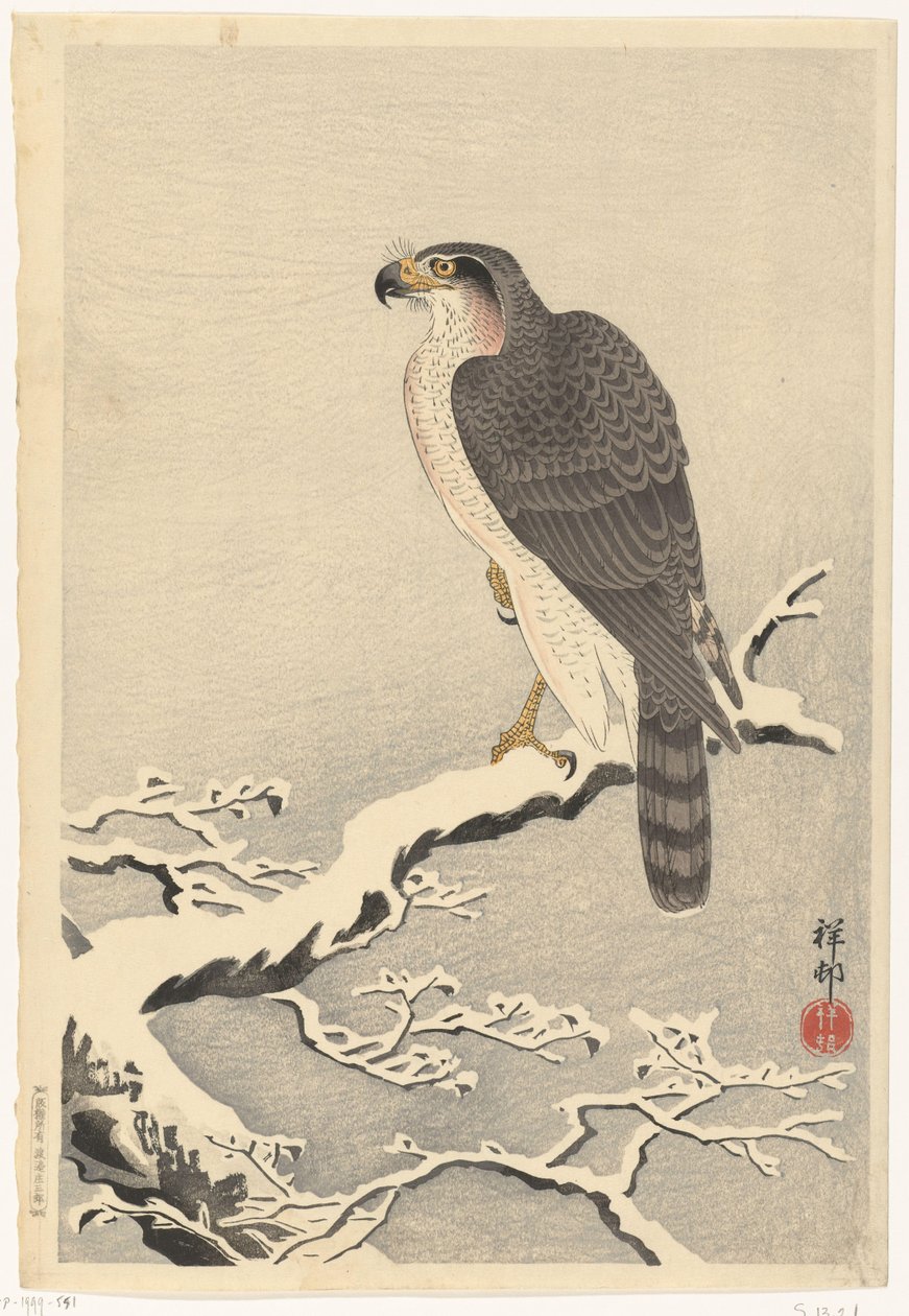Hawk på snødekt gren av furutre av Ohara Koson