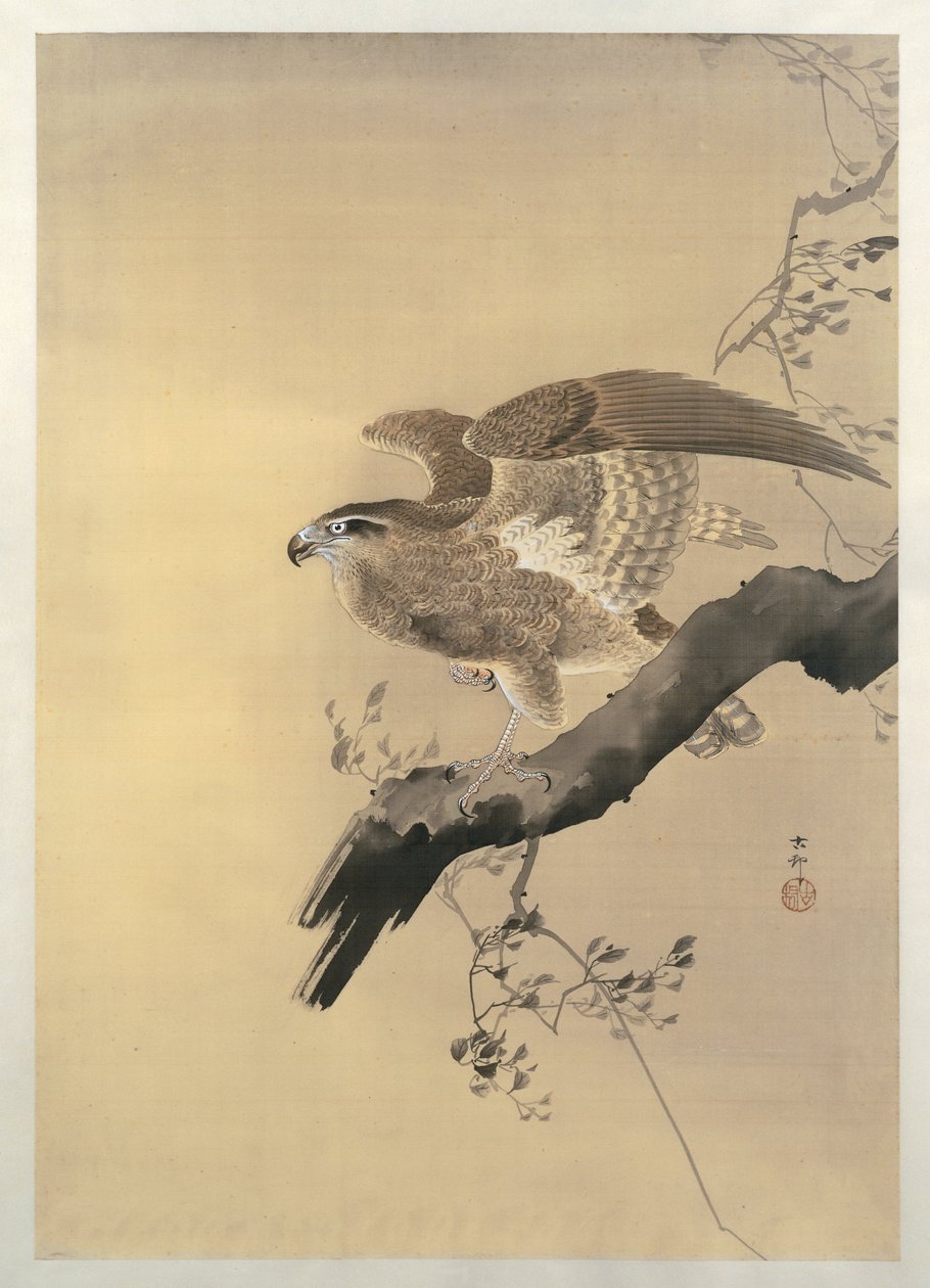 Hawk (børste) av Ohara Koson