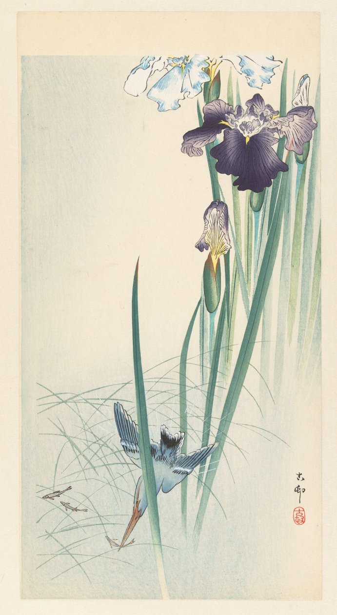 Kingfisher og iris av Ohara Koson