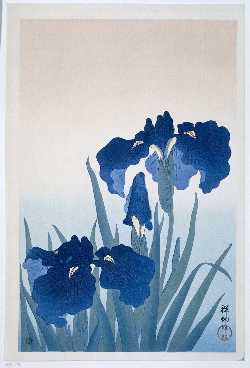 Iriser, 1925-36 (treblokktrykk) av Ohara Koson