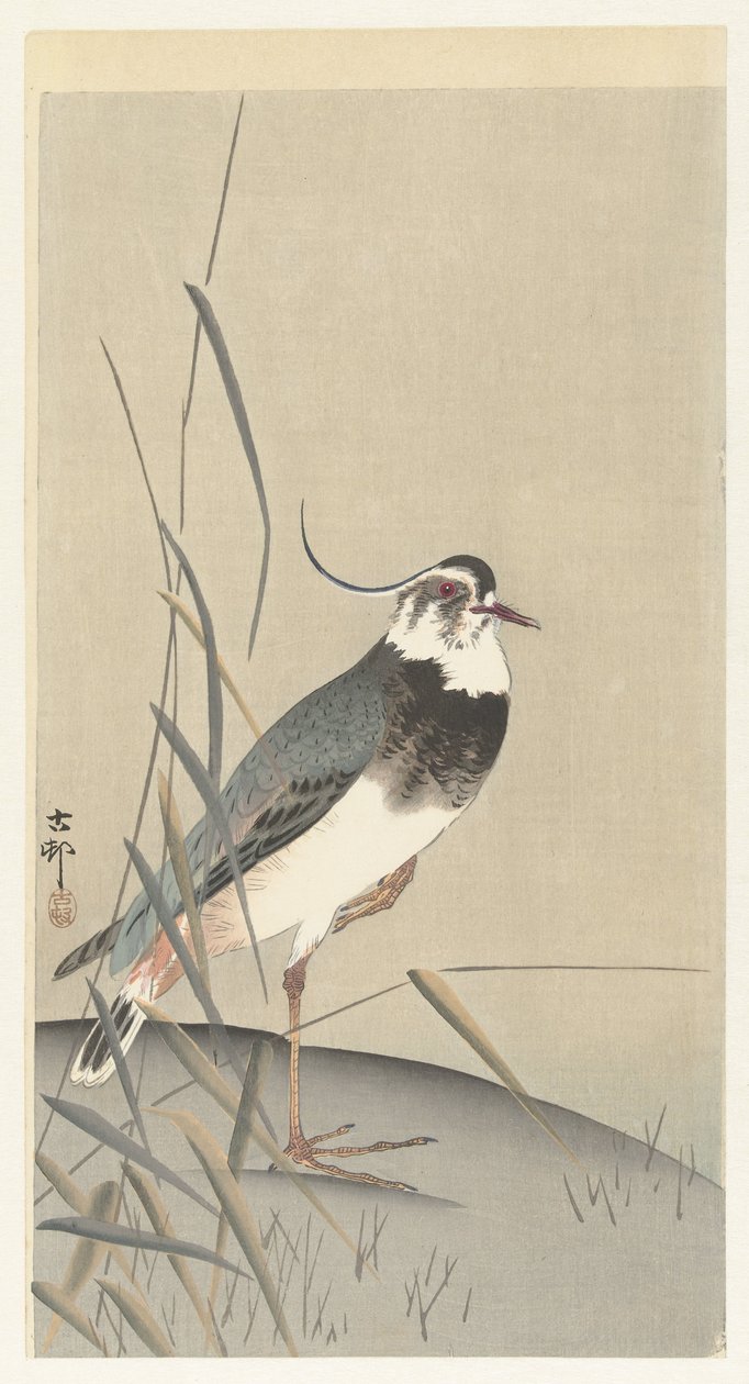 Vippe og siv av Ohara Koson