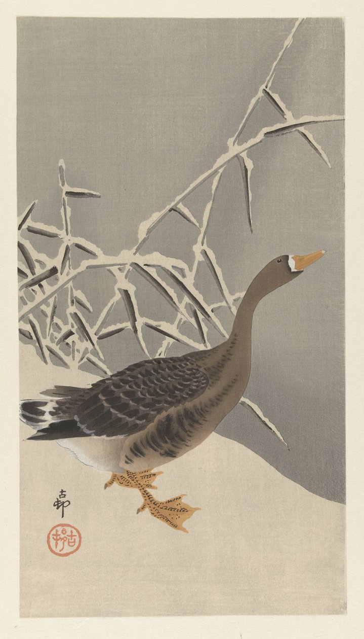 Blisgås i snøen av Ohara Koson