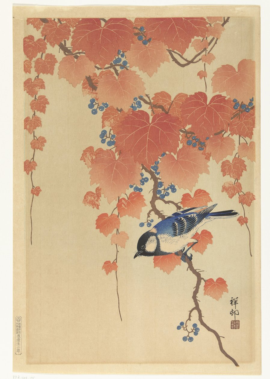 Pommemeis på paulownia-gren av Ohara Koson