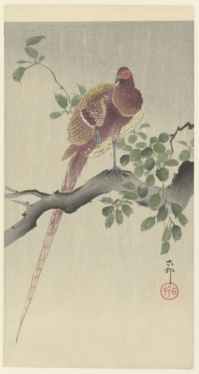 coperfazant av Ohara Koson