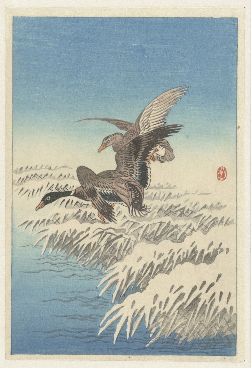 Endepar som flyr over snødekt sivkrage av Ohara Koson