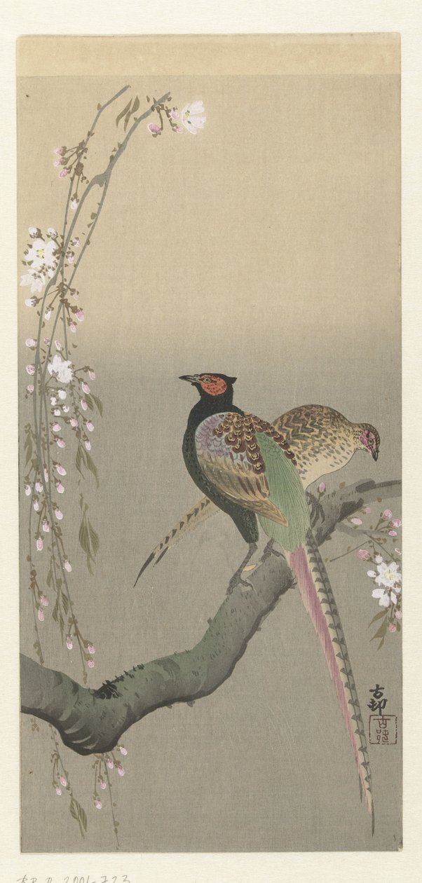Et par fasaner og kirsebærblomst av Ohara Koson