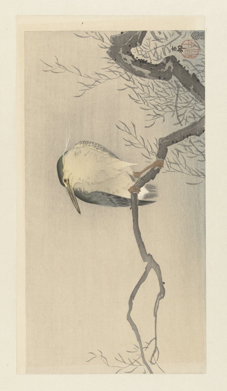 Kwak på lunefull gren. av Ohara Koson