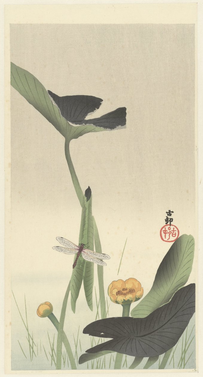 Lotus injurier av Ohara Koson