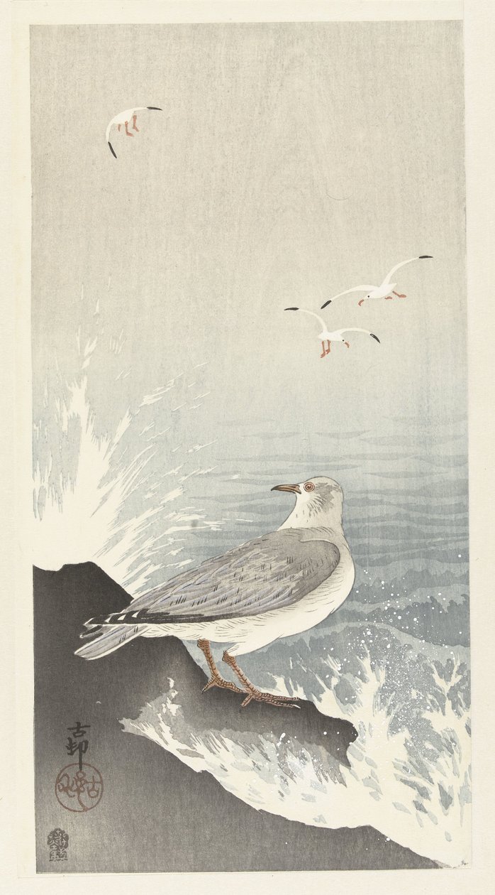 Måke på stein av Ohara Koson