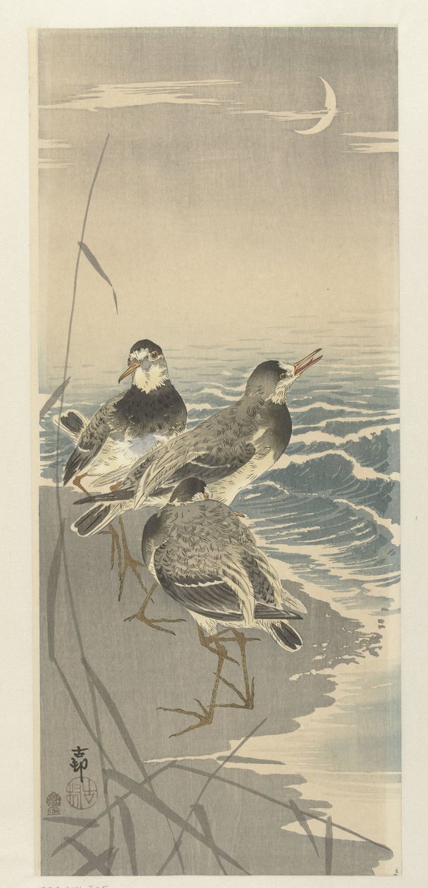 Sandpiper ved sigdmåne av Ohara Koson