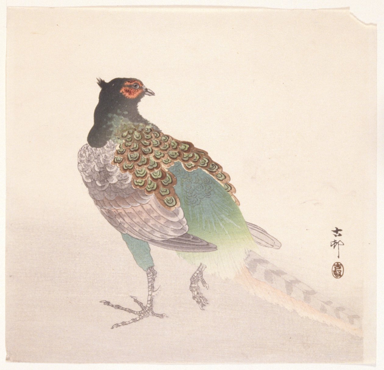 Fasan (farget treblokktrykk) av Ohara Koson