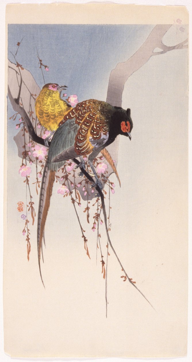 Fasaner og hengende kirsebær (farget treblokktrykk) av Ohara Koson
