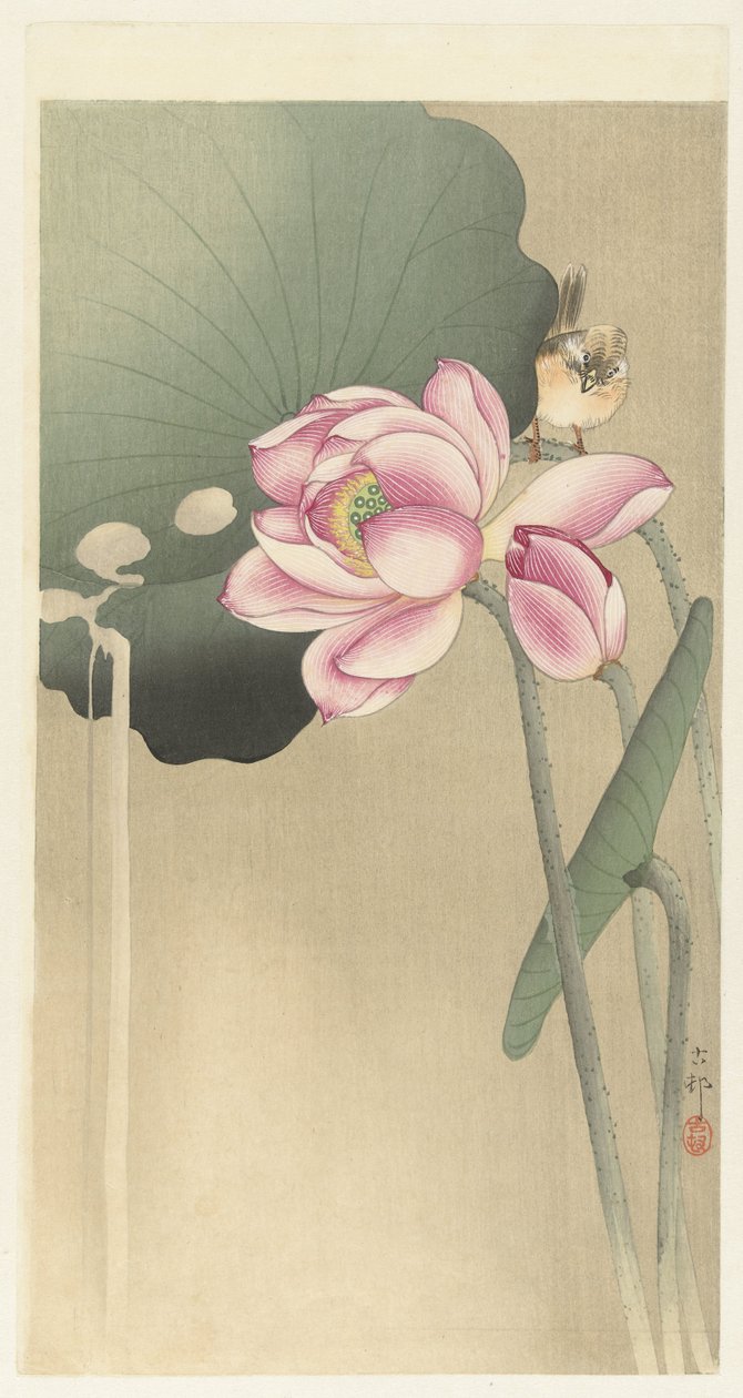 Songbird og Lotus av Ohara Koson