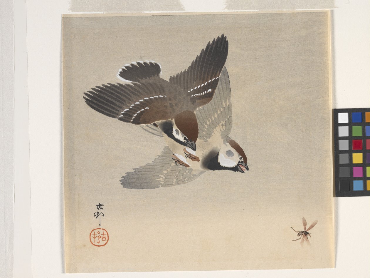 Sparrows Chasing Flying Insect (farget treblokktrykk) av Ohara Koson