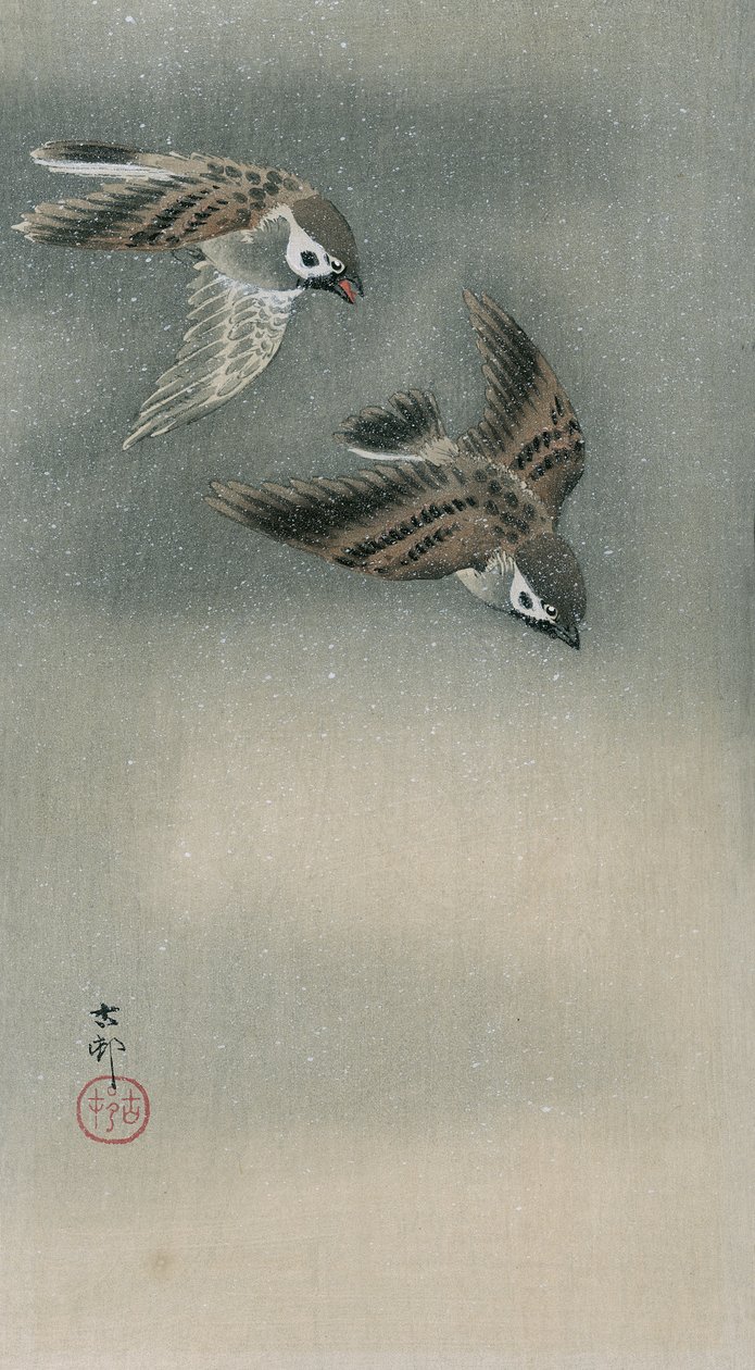 Sparrows in flight (farget treblokktrykk) av Ohara Koson