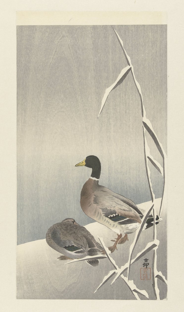 To ender på snødekt siv over av Ohara Koson