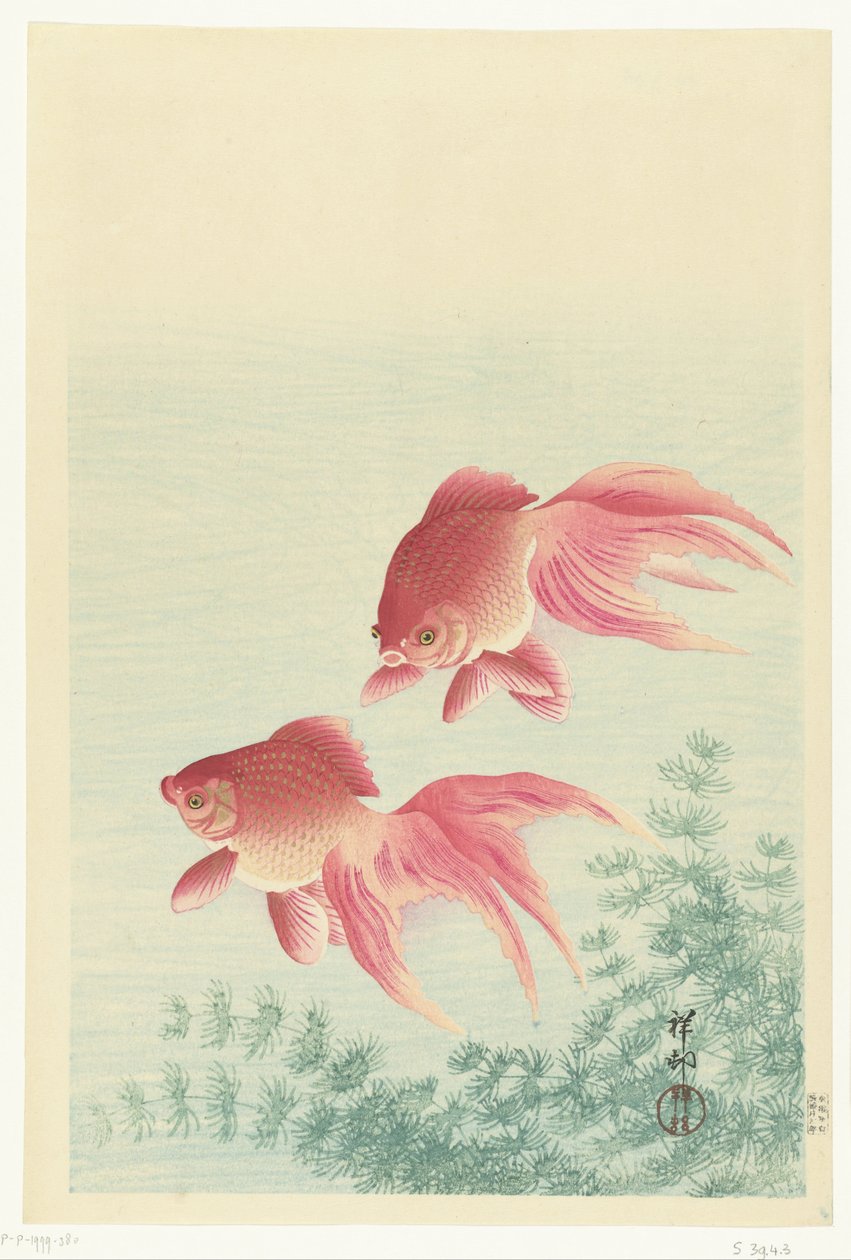 Gullfisk med to slørhale av Ohara Koson