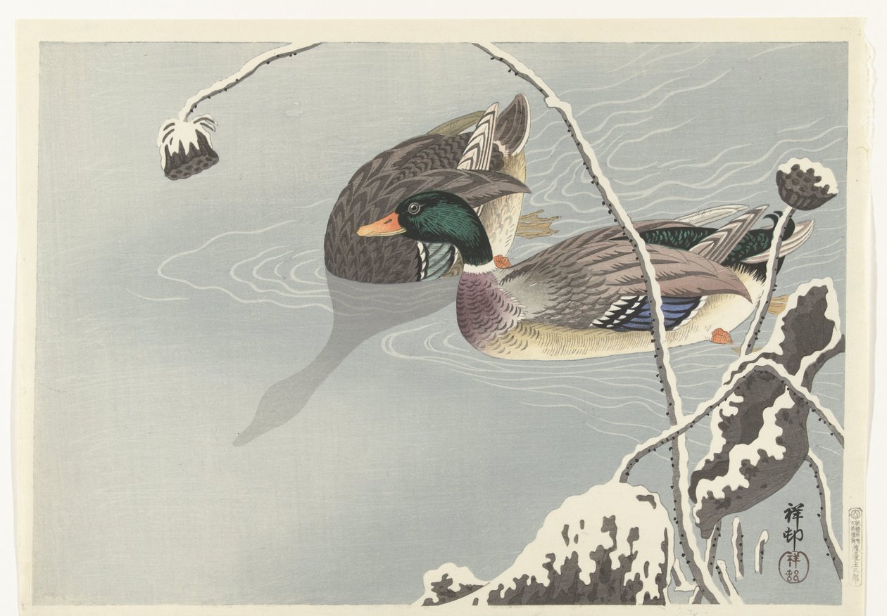 To stokkand nær en snødekt lotus av Ohara Koson