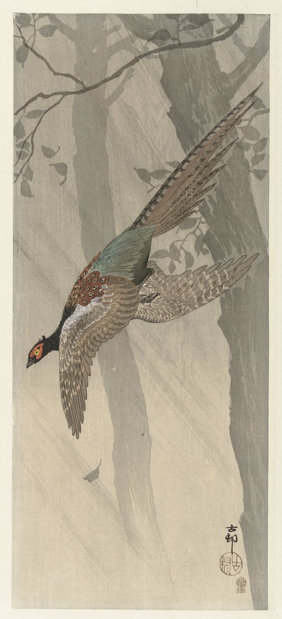 Flygende fasan av Ohara Koson