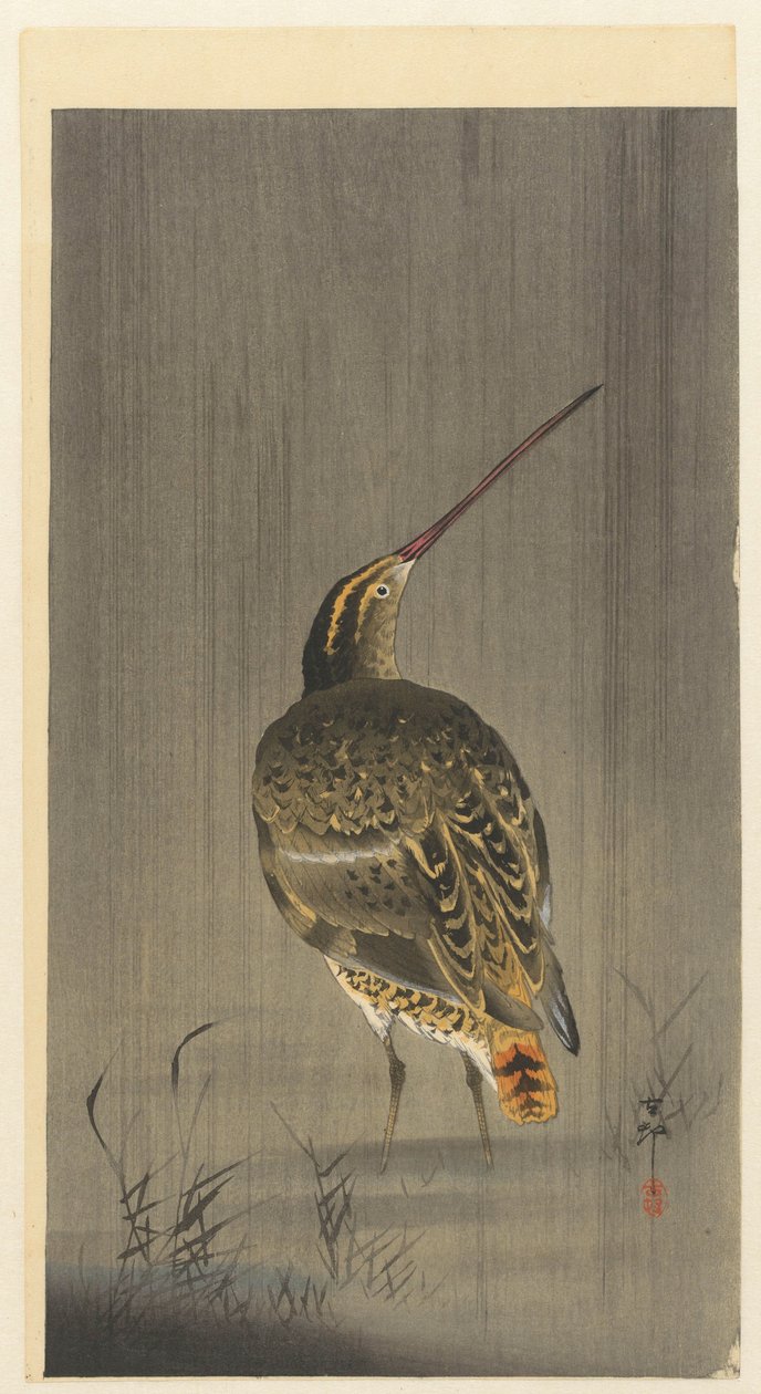 Snipe i regnet av Ohara Koson