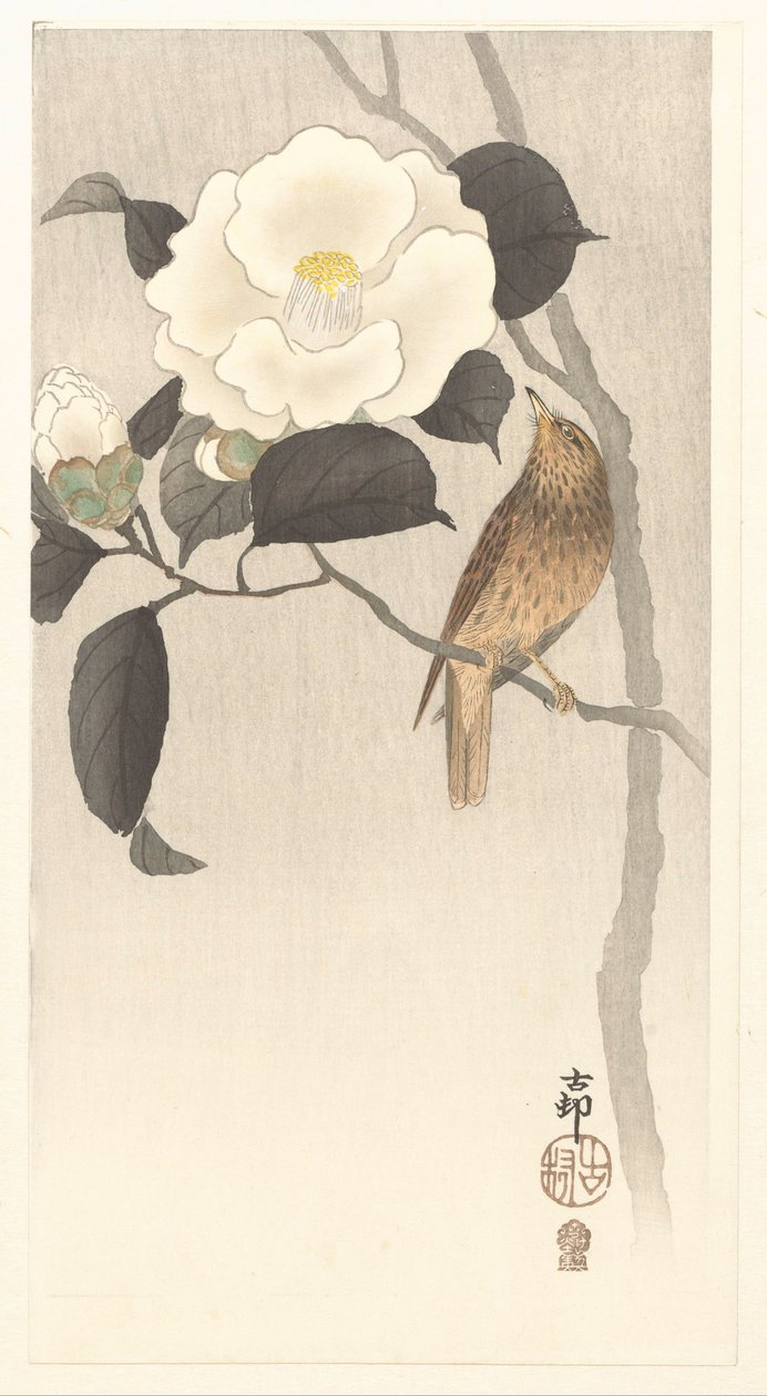 Sangfugl og blomstrende kamelia av Ohara Koson