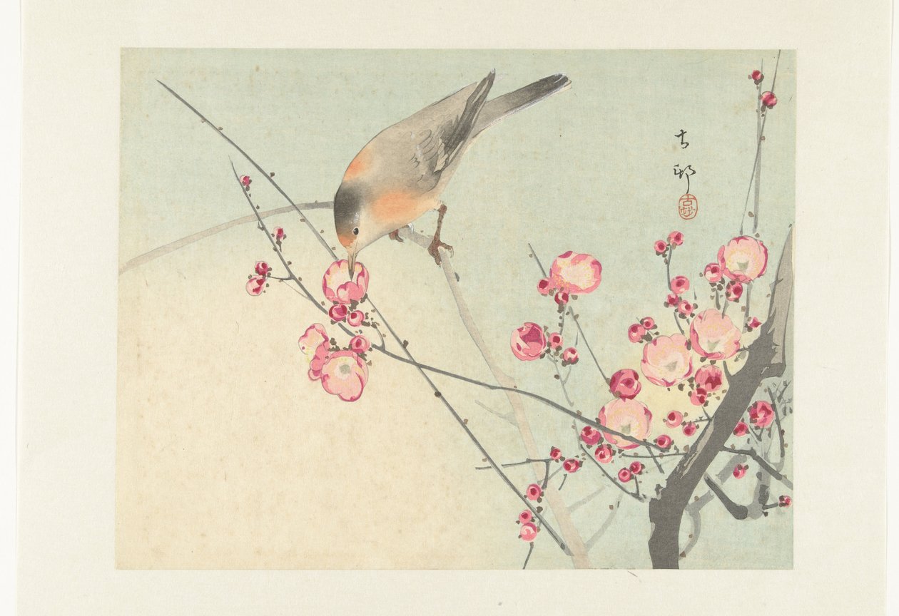 Sangfugl på blomstergren av Ohara Koson