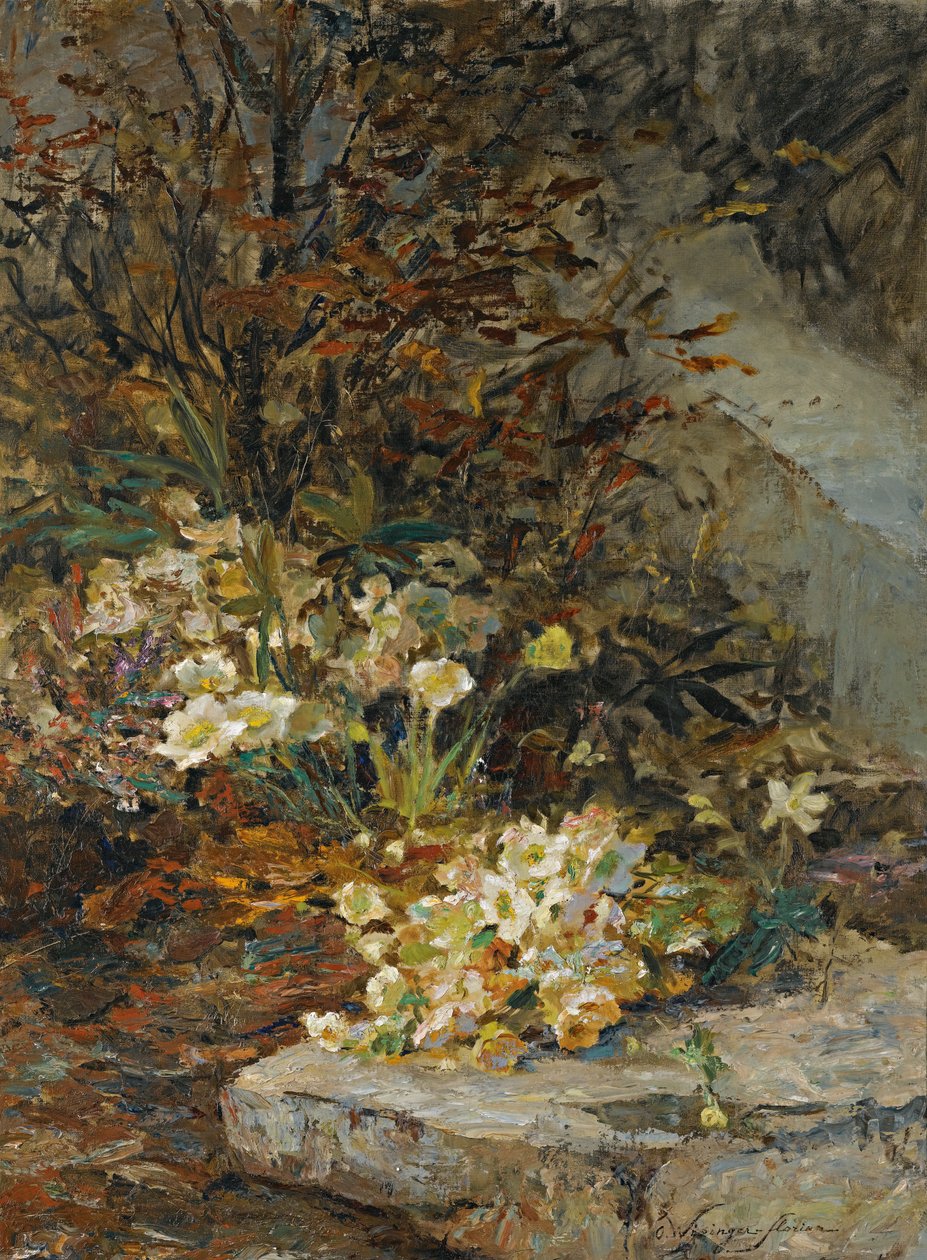 Hellebores av Olga Wisinger Florian