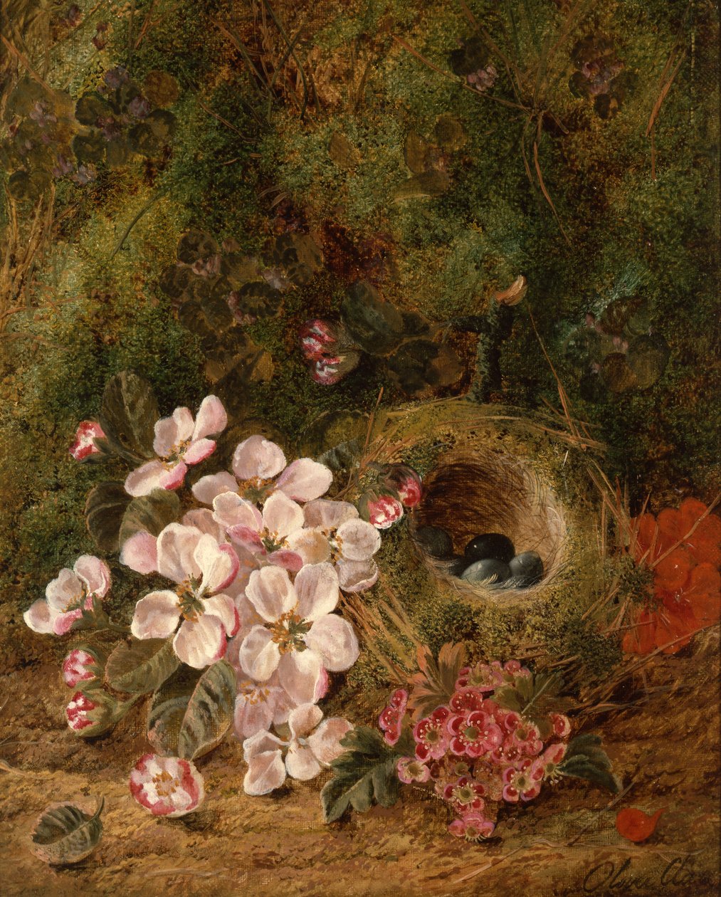 Fuglerede av Oliver Clare