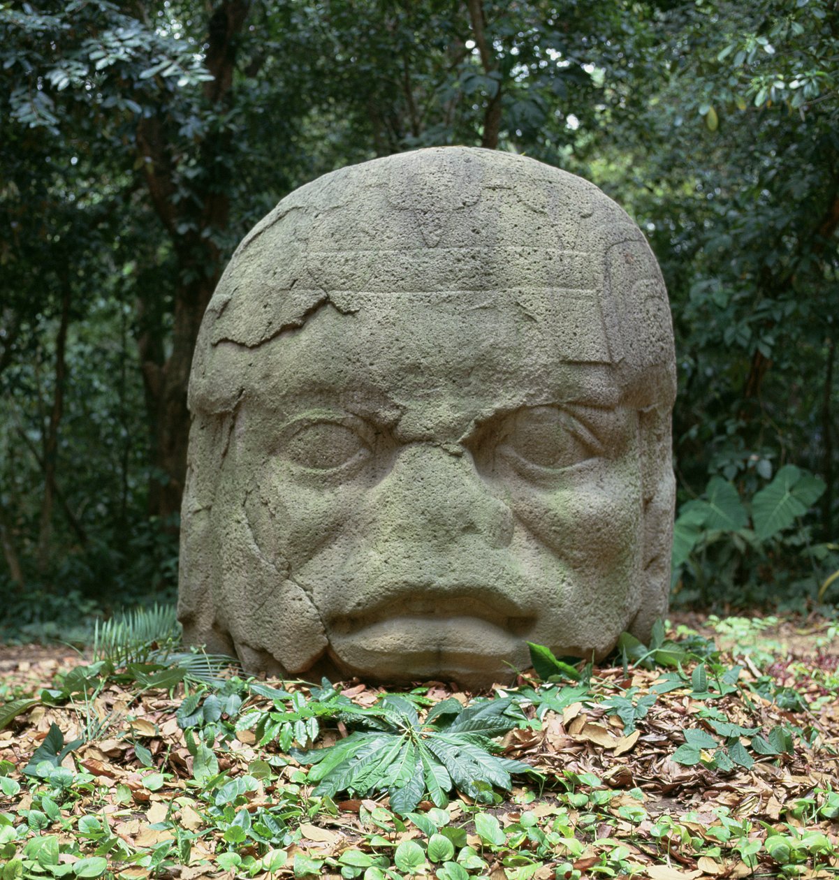 Colossal Head 4, før-klassisk periode av Olmec