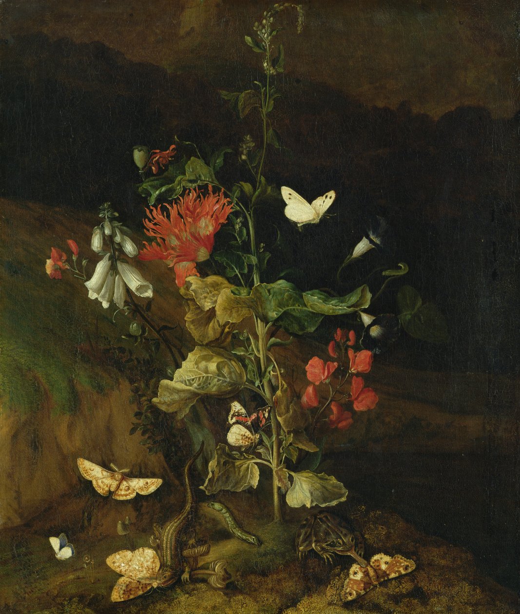 Blomsterstudie av Otto Marseus  van Schrieck